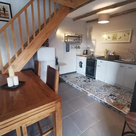 Kiwi Apartment
