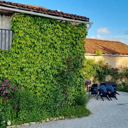 Kiwi Genouille (Vienne)